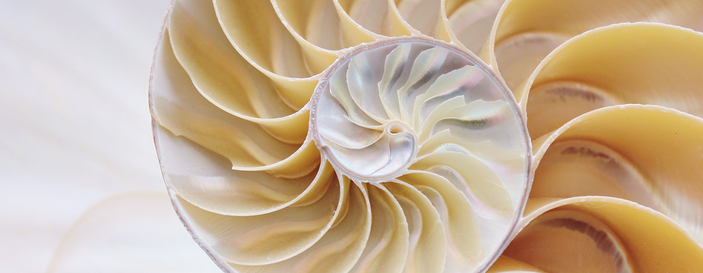 Hoe breng je een systeem in je dagelijks leven