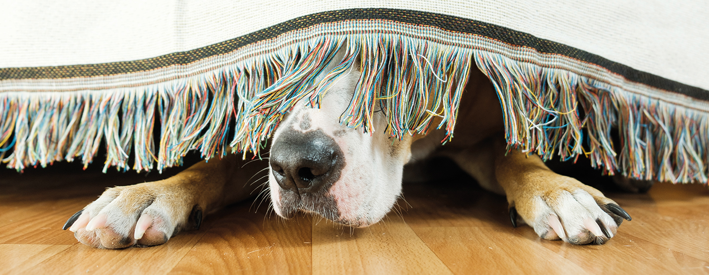 Verlegenheid beheersen