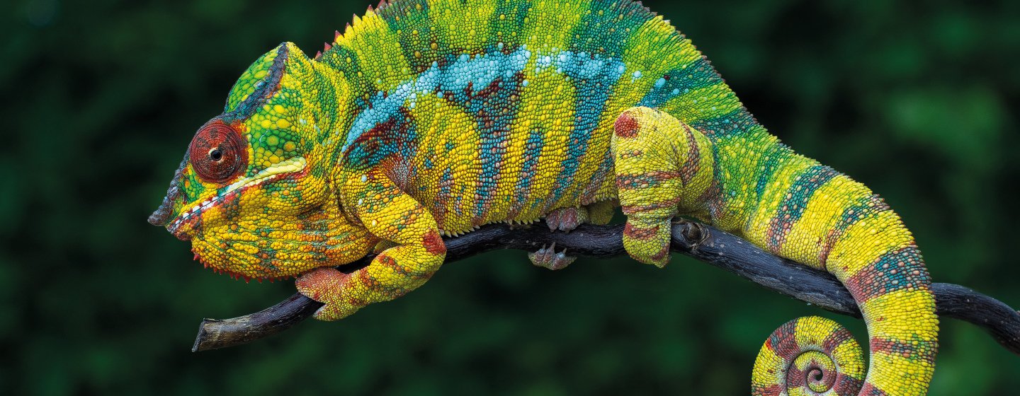 Verandering tot een verbetering