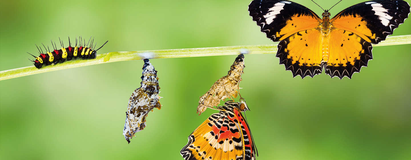 Hoe je kan veranderen